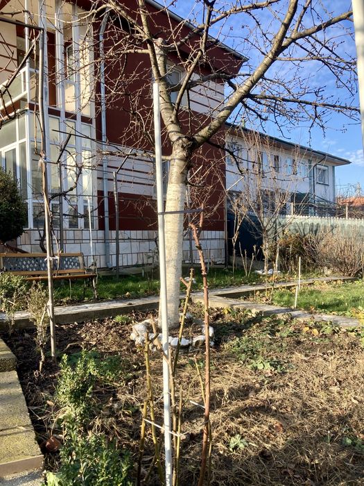 Casă cu etaj-costrucție din cărămidă roșie