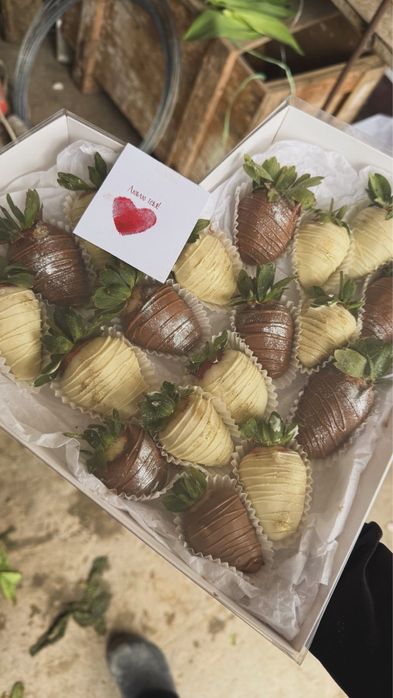 Тюльпаны, клубника в шоколаде, город Шымкент