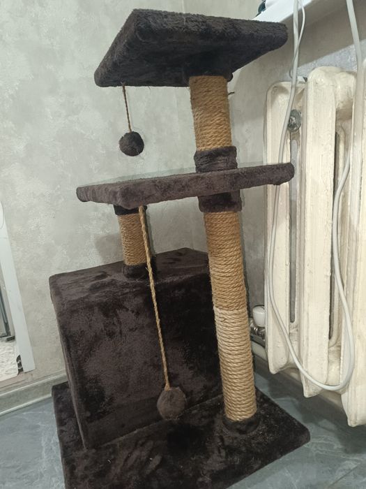 Домик для кошек, котов