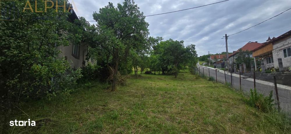 Casa Cu Teren Generos In Herina, Bn – Oportunitate De Investitie Turis
