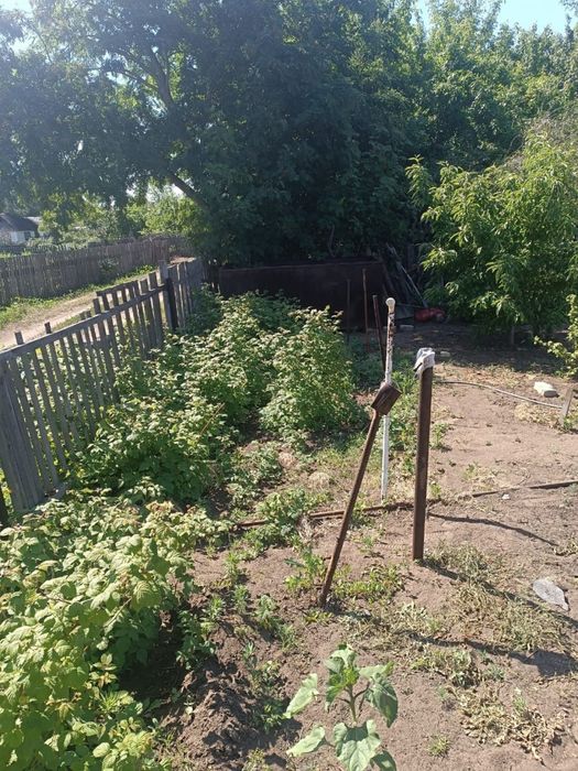 Продам дачу сад Здоровье