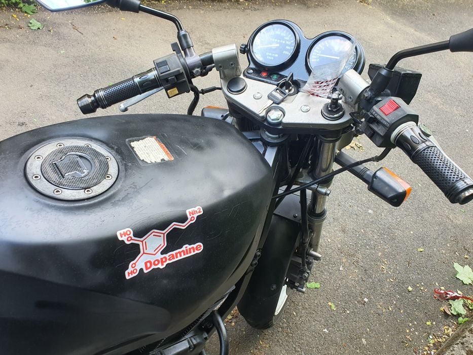 Suzuki gs500e sligshot 1991 black edition