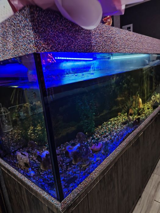 Аквариум 700 литров