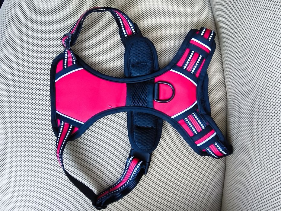 Ham cu lesă pentru câine