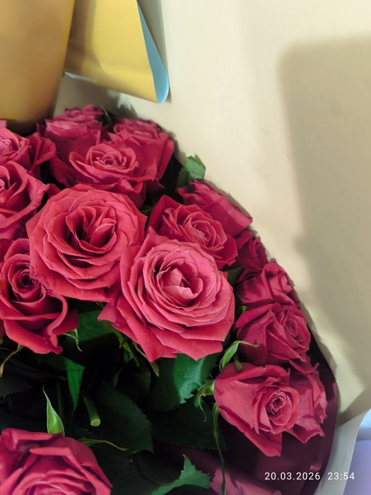 Цветы розы 25 штук