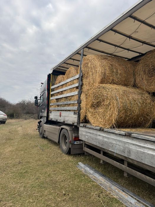 Baloti Rotunzi Lucerna min.40.sau fan.Drept.min.500.Transport>RO UE

B