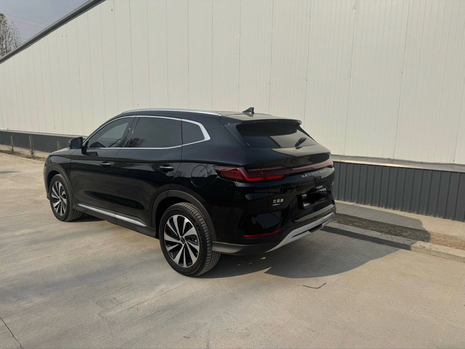 Byd chempion gibrit 1100yuradi