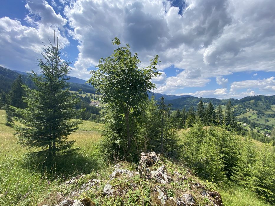 Teren rarau 10 min de partie extravilan se poate parcela in jumatate