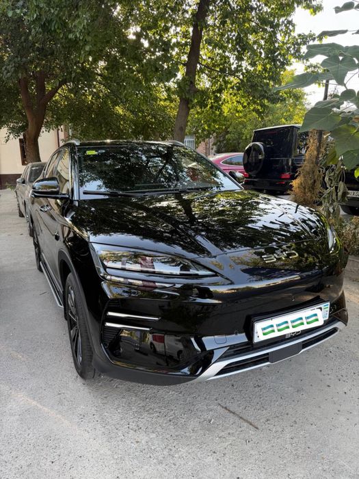 Byd champiyon smart 2025-yil