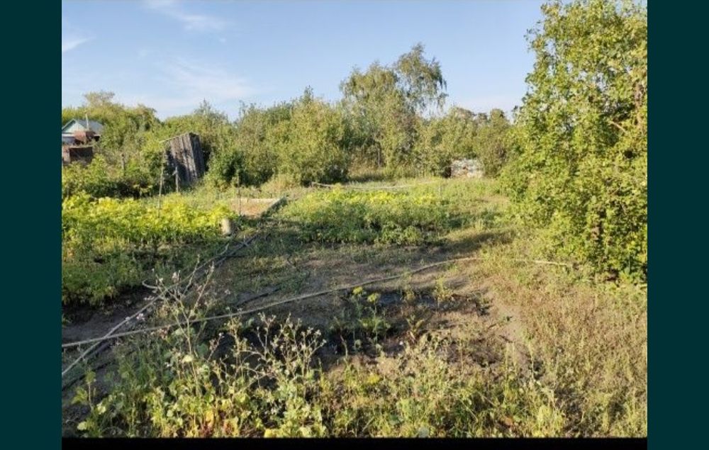 Сдам дачу на летний сезон