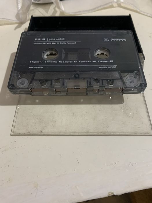 Дина Байрактарович и Ивана