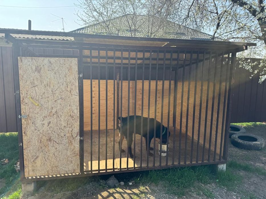 Продам ротвейлера с вольером