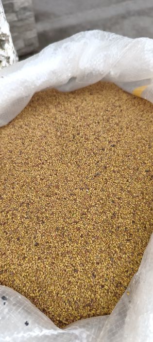 Mazăre ,sămânța lucernă,mei ,porumb