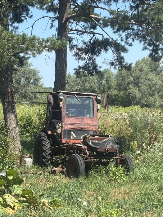 Продается трактор Т 16
