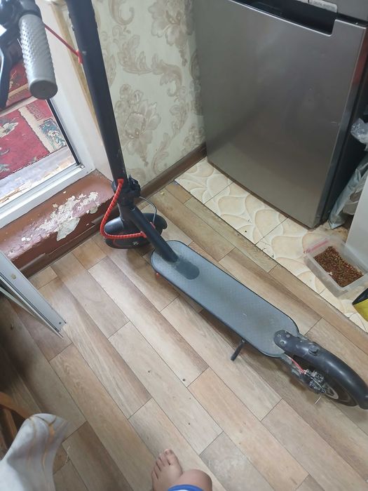 Електроний самокат