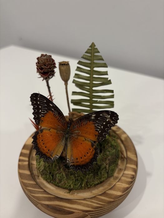 Бабочка в колбе ручная работа