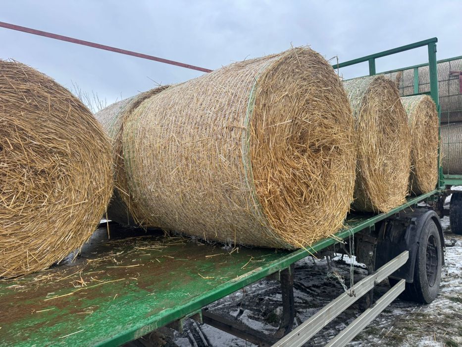 Baloti din paie de grau 2025