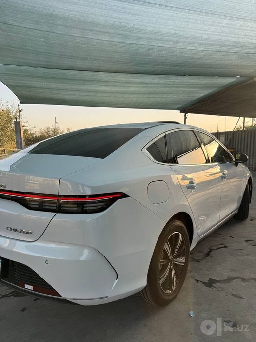 Byd Chazor gibrid