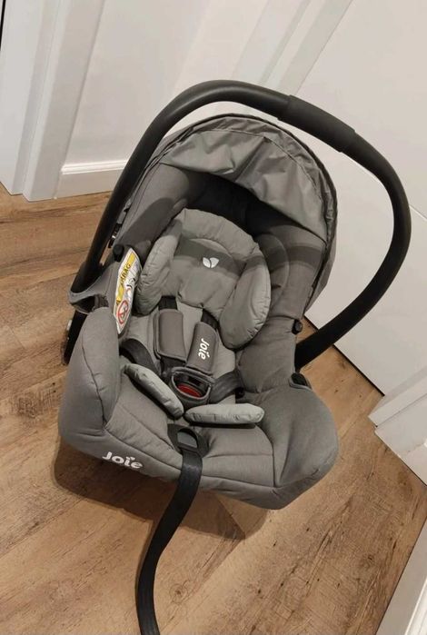 Scoica Joie noua bebelusi