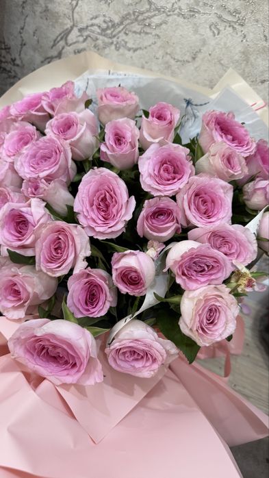 свежийй гулдер сатылады