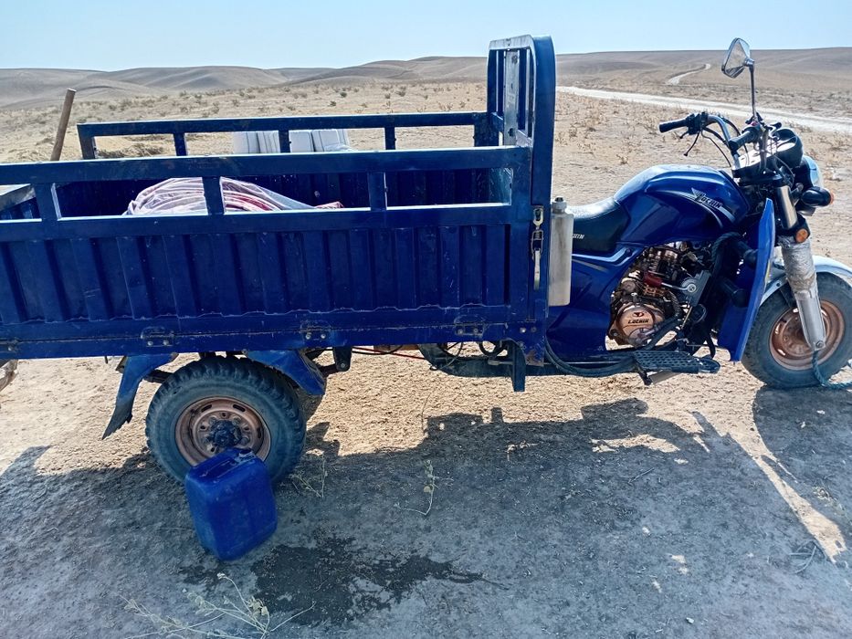 Lochin moto 200 lik suvli panijni bor