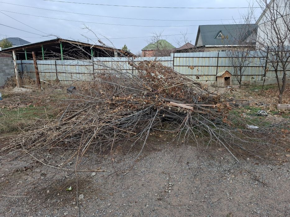 Дрова отдам даром