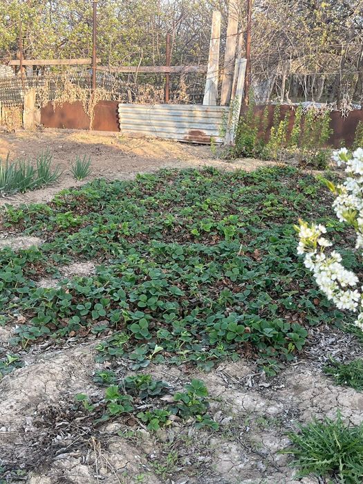 Продается  дом в мкр Коктем