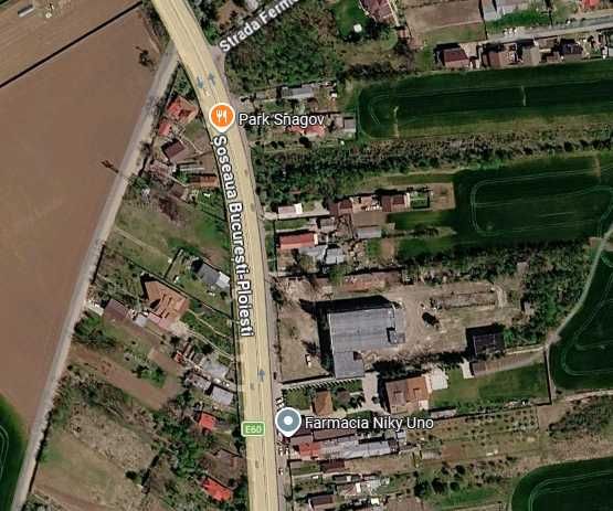 Teren intravilan 900 mp – deschidere 31 m la DN1 – Ciolpani, Ilfov