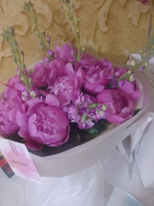 Пионы цветы продается