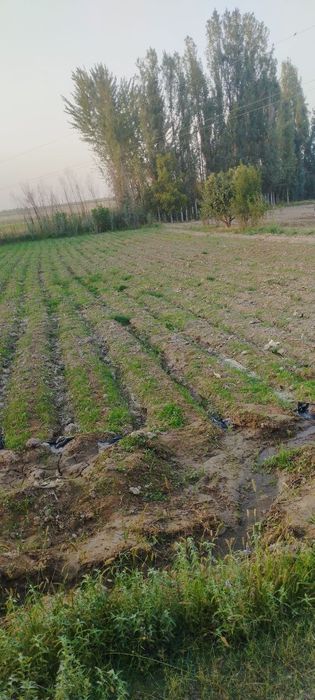 Срочно 6сотих ер сотилади