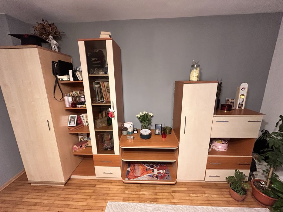 Mobila tip biblioteca/șifonier