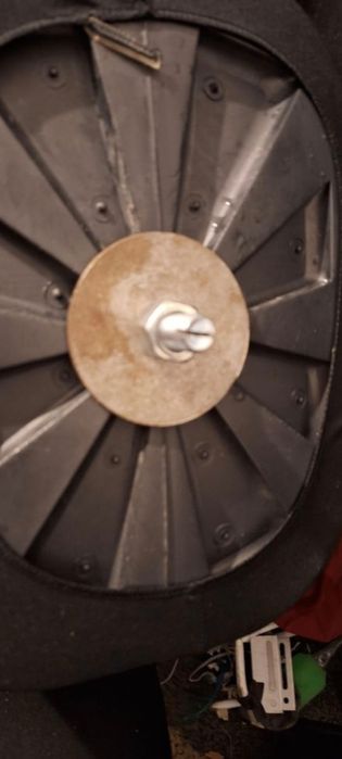 Busturi pt prezentare