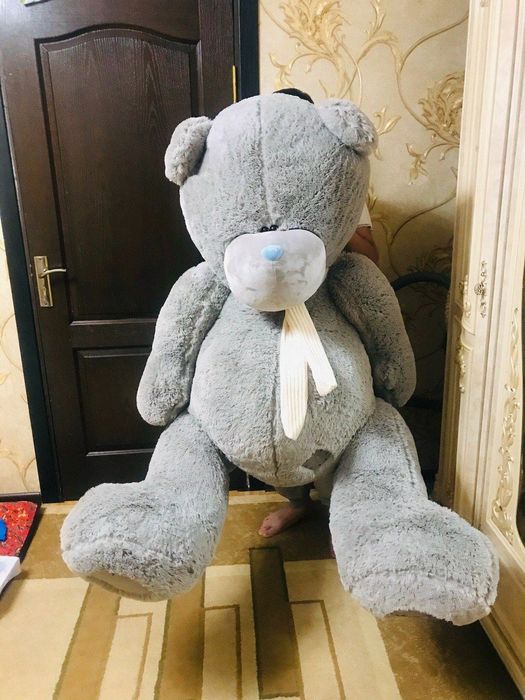 Teddy+Teddi Bonusga Orginal 100%