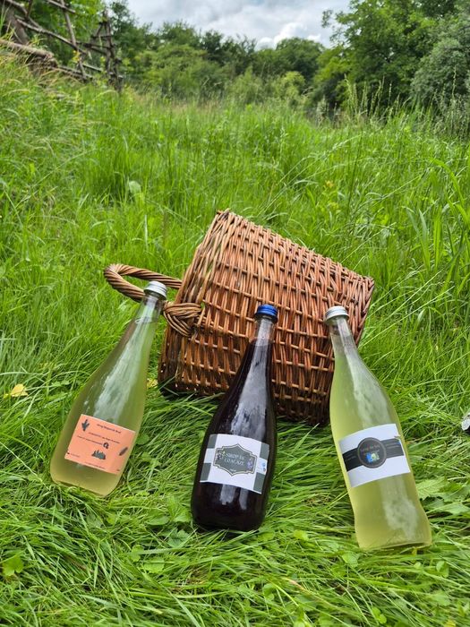 Siropuri  de Soc,Brad,Coacaze