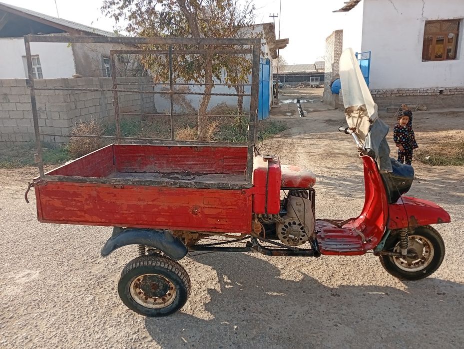 Муравей российский