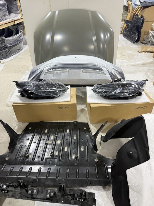 BYD chenpion Zapcast