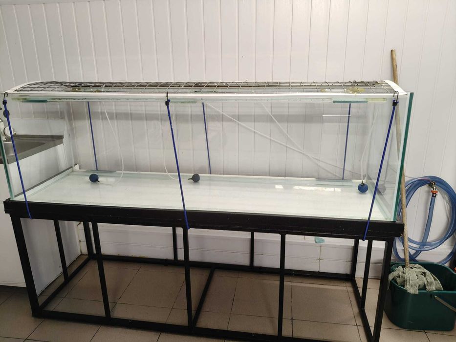 vand acvariu 500 litri