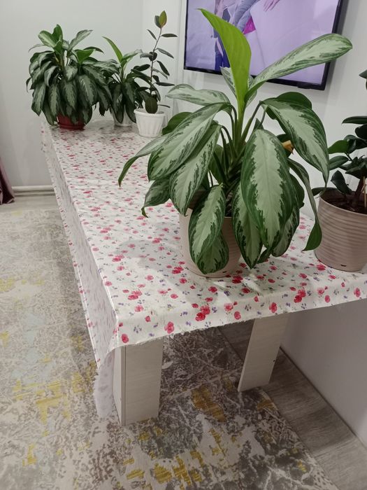 Стол 2,50 ×90 срочна продам