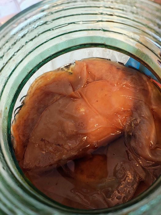Kefir de apa de lapte Kombucha