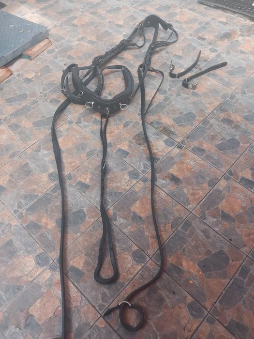 Vând ham cal pentru trăsură!