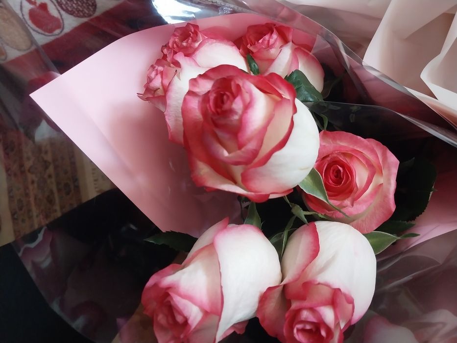 Цветы розоый роза