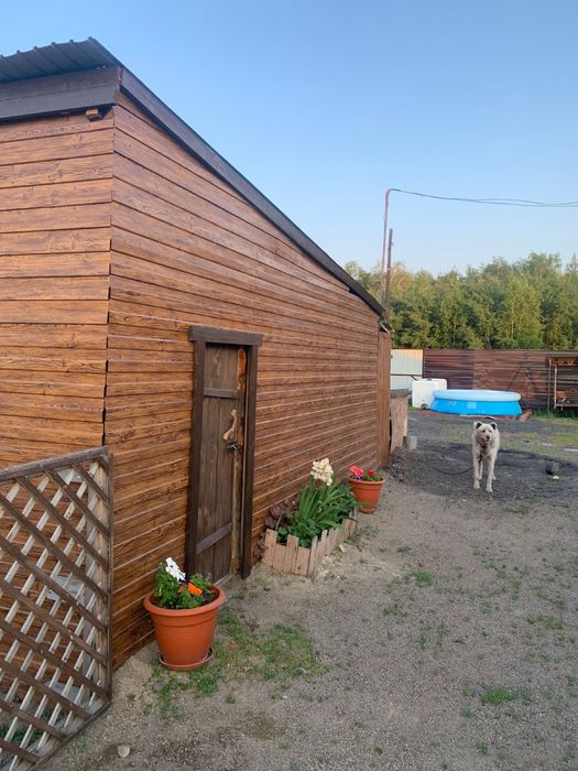 Продам дом в лесхозе