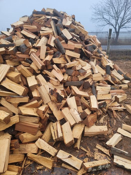 Lemne de foc ! ( Fag si stejar)