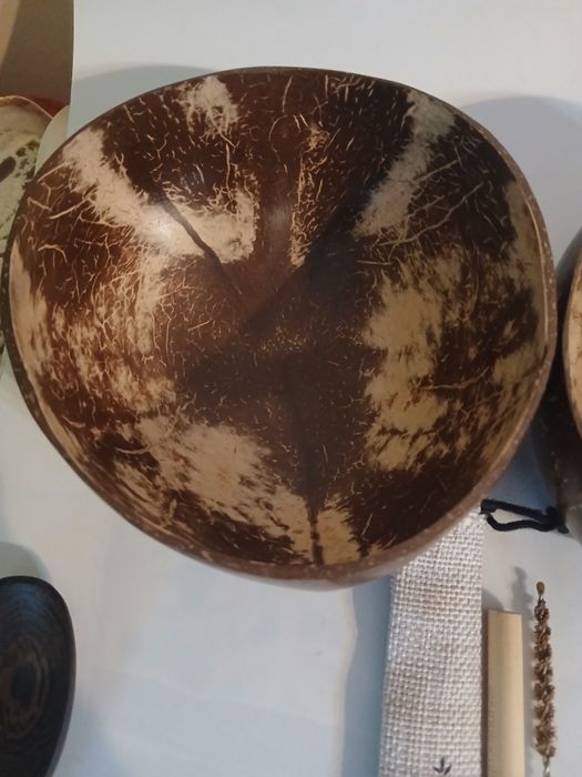 Set ecologic din nuci de cocos.