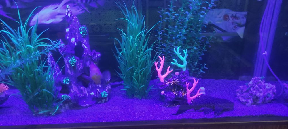 Декоративные камни для аквариума