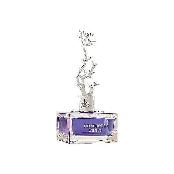 Подарочный набор для женщин Aurora Deciduous Winter 100 мл Dubai