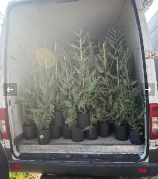 Транспортни услуги със самосвал или закрит чист бус до 3.5т