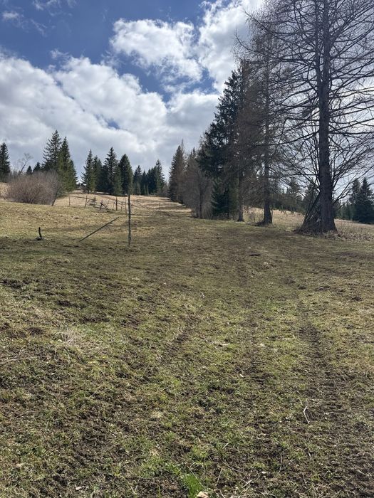 Teren rarau 10 min de partie extravilan
