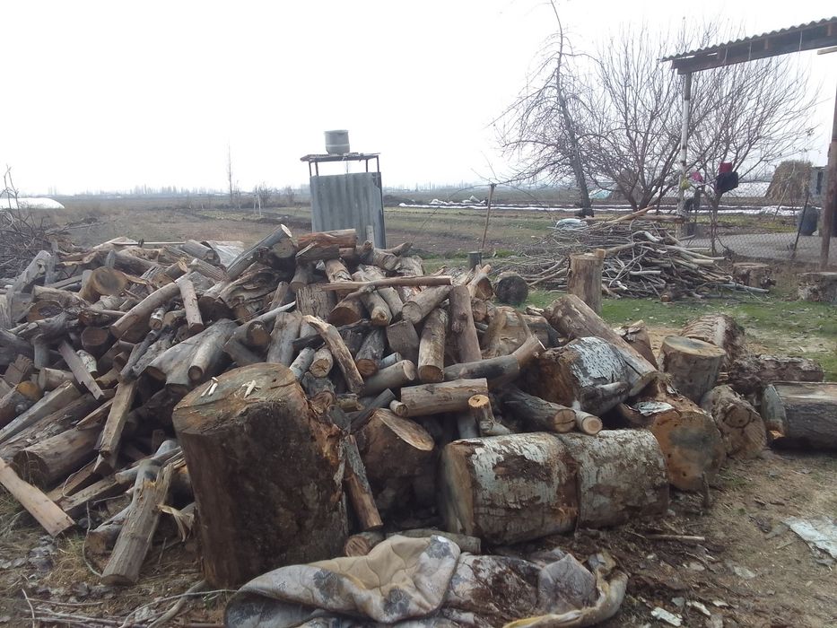 Otin sotiladi, келиштириб бераман