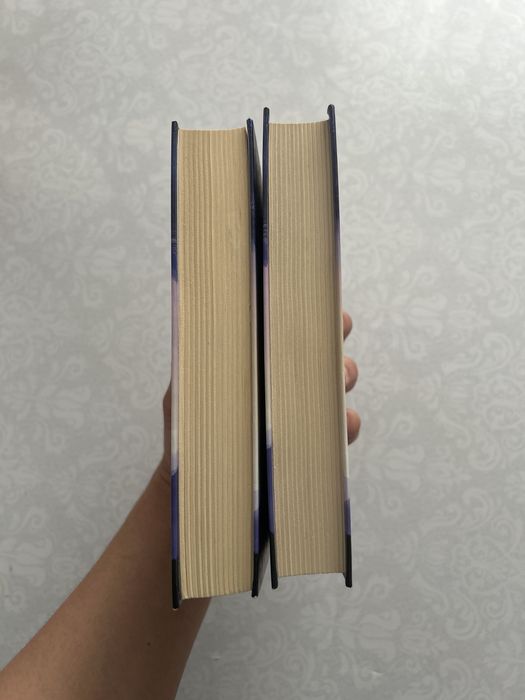 Книга Халеда Хоссейни  (И эхо летит по горам)